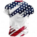 Men's Flag American Flag National Flag Swimming Trunks Board Shorts Shorts Mid Waist Fashion Streetwear Hawaiian Casual Daily Holiday Pocket Drawstring Elastic Waist Designer Clothing Apparel